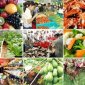 BÀI TUYÊN TRUYỀN ĐĂNG KÝ BẢN CÔNG BỐ SẢN PHẨM